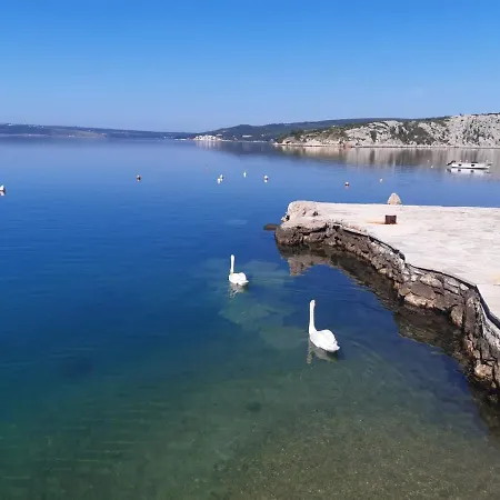 アパート Viktor *