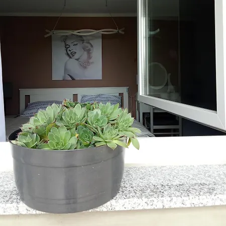 Apartmán Viktor Jasenice (Zadar)