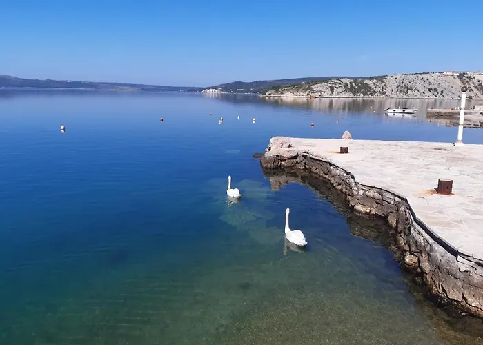 Appartement Viktor *